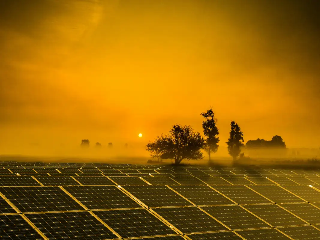 Futuro del co2